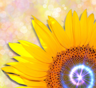 Intuitive Healing by Cat Parah